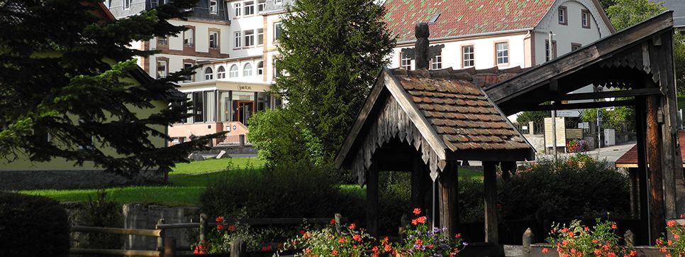 Le Grand Hotel Du Hohwald By Popinns Экстерьер фото